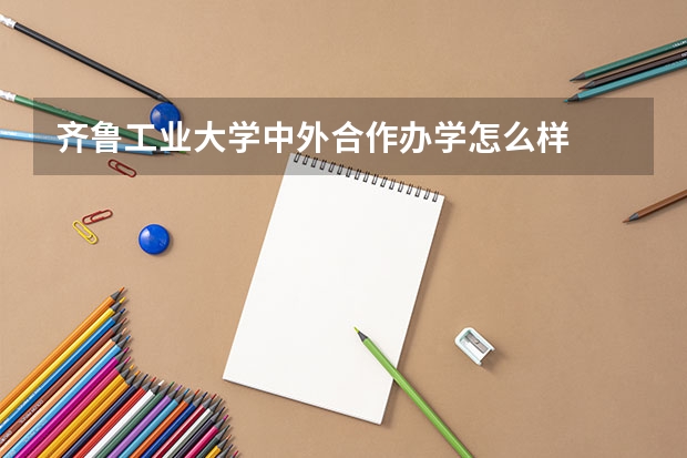 齐鲁工业大学中外合作办学怎么样