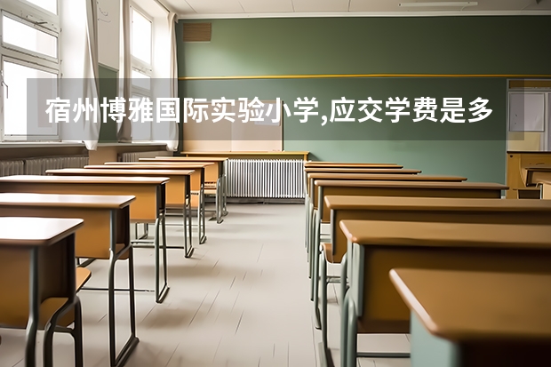 宿州博雅国际实验小学,应交学费是多少