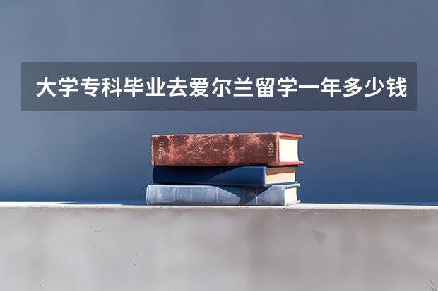 大学专科毕业去爱尔兰留学一年多少钱