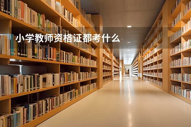 小学教师资格证都考什么