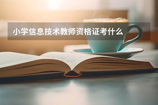 小学信息技术教师资格证考什么