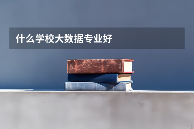 什么学校大数据专业好