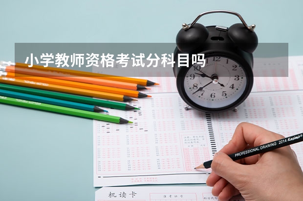 小学教师资格考试分科目吗