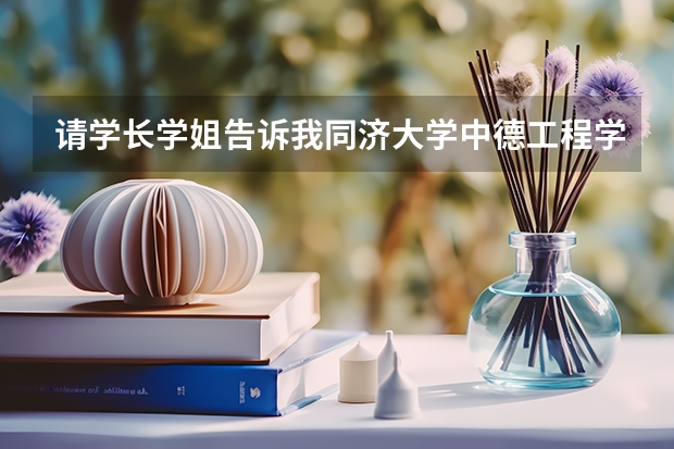 请学长学姐告诉我同济大学中德工程学院的赴德留学条件是什么？