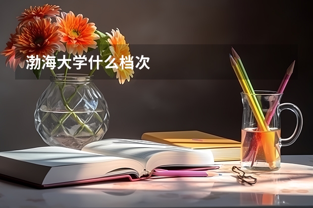 渤海大学什么档次