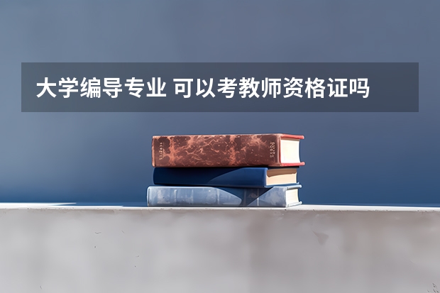 大学编导专业 可以考教师资格证吗