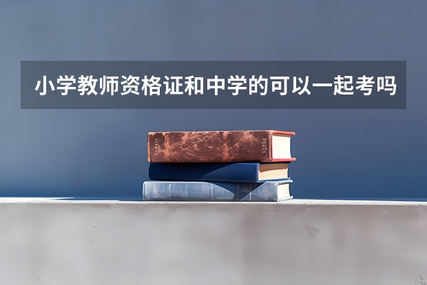 小学教师资格证和中学的可以一起考吗？