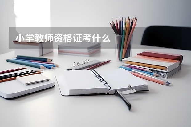 小学教师资格证考什么