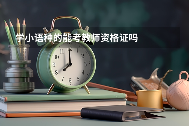 学小语种的能考教师资格证吗