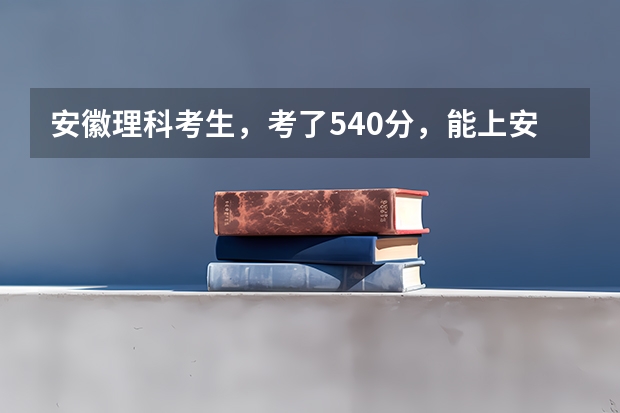 安徽理科考生，考了540分，能上安徽哪些二本大学？要环境好一点的啊！