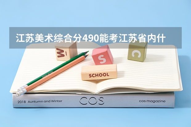 江苏美术综合分490能考江苏省内什么大学？