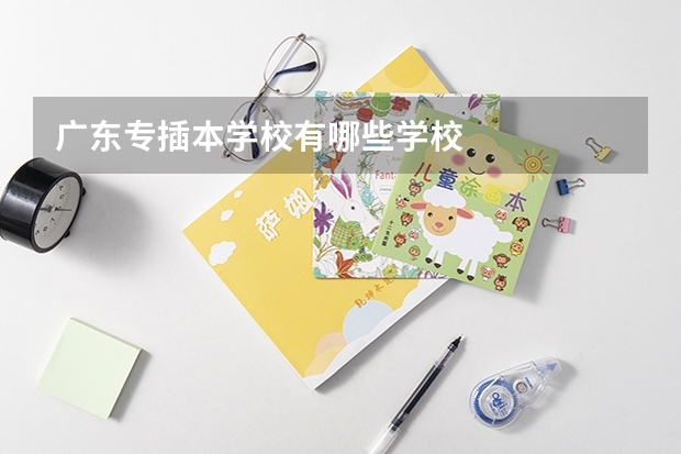 广东专插本学校有哪些学校