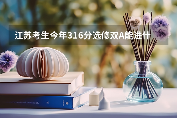 江苏考生今年316分选修双A能进什么学校