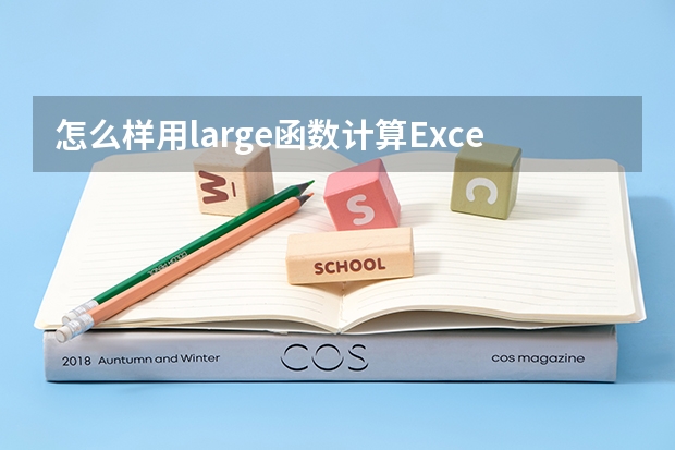 怎么样用large函数计算Excel中的第二名成绩