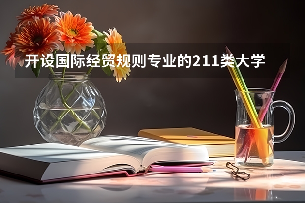 开设国际经贸规则专业的211类大学有哪些