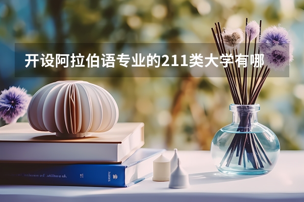 开设阿拉伯语专业的211类大学有哪些