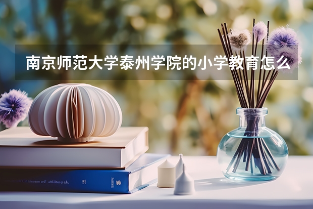 南京师范大学泰州学院的小学教育怎么样