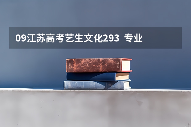 09江苏高考艺生文化293  专业196 能上什么学校