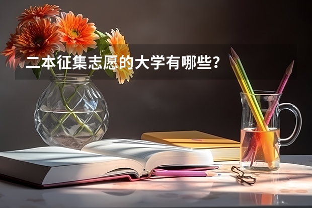 二本征集志愿的大学有哪些？