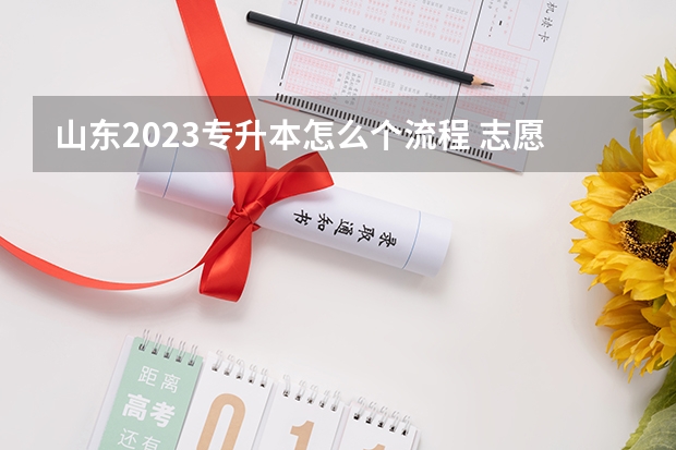 山东2023专升本怎么个流程 志愿填报步骤？