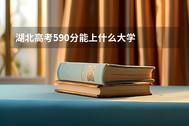 湖北高考590分能上什么大学