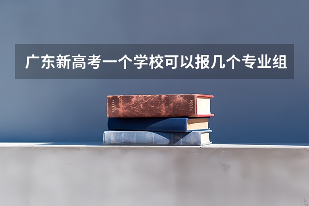 广东新高考一个学校可以报几个专业组 填志愿一个学校可以选几个专业组