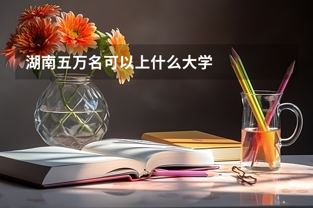 湖南五万名可以上什么大学