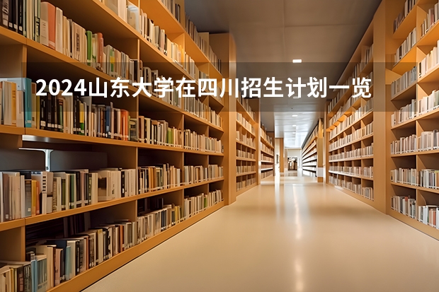 2024山东大学在四川招生计划一览表