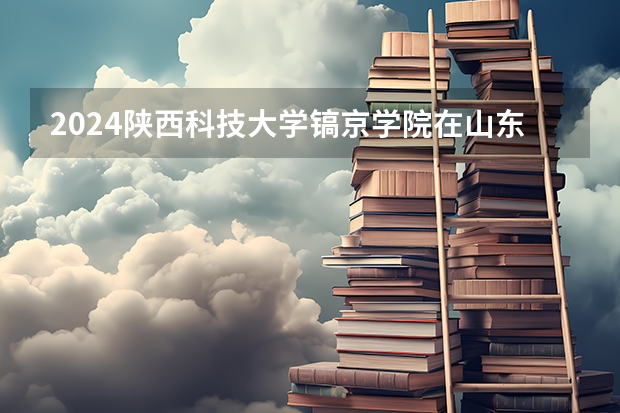 2024陕西科技大学镐京学院在山东招生计划一览表