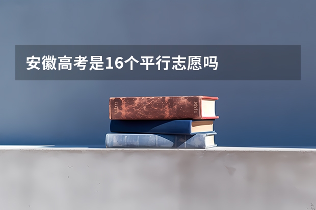 安徽高考是16个平行志愿吗