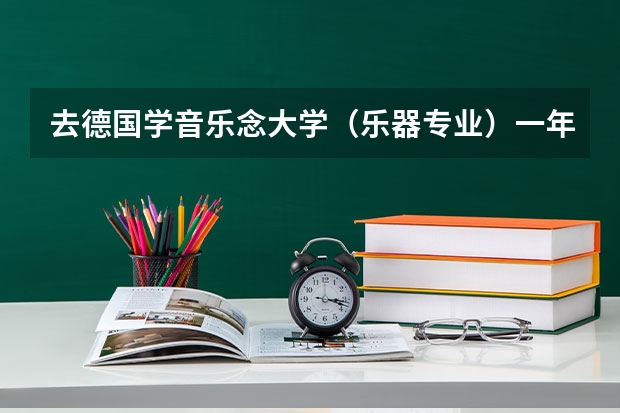 去德国学音乐念大学（乐器专业）一年学费加生活加一块大概费用多少啊 可以申请奖学金吗？