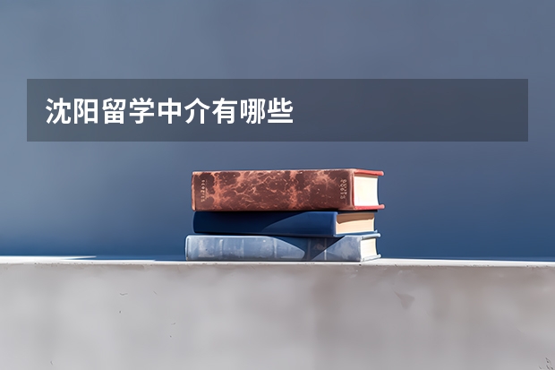 沈阳留学中介有哪些