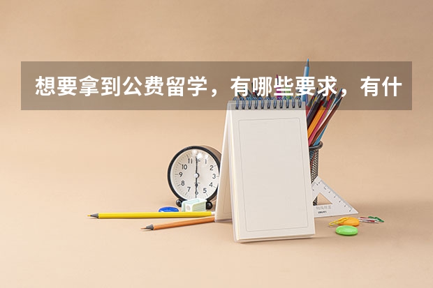 想要拿到公费留学，有哪些要求，有什么建议？