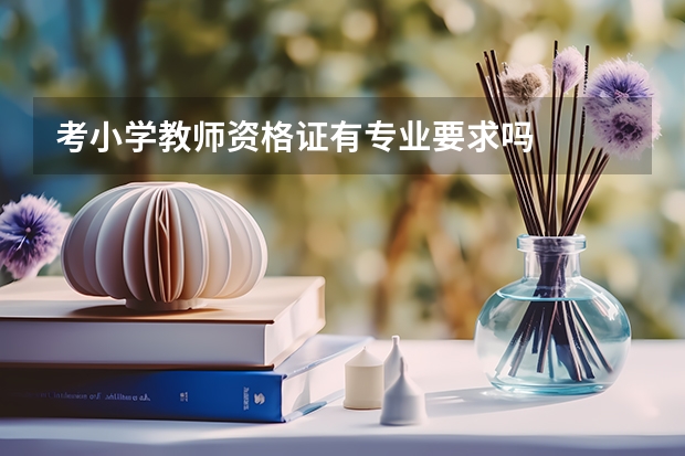 考小学教师资格证有专业要求吗