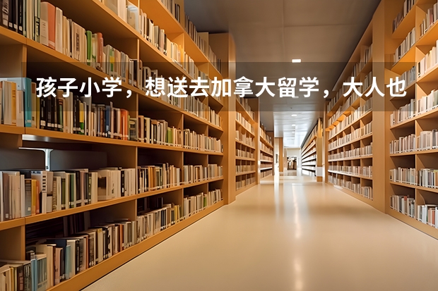 孩子小学，想送去加拿大留学，大人也去陪读，加拿大也有亲人可以做监护人，需要怎么办理呢？