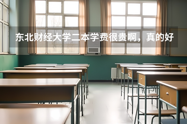 东北财经大学二本学费很贵啊，真的好吗