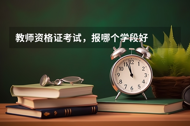 教师资格证考试，报哪个学段好