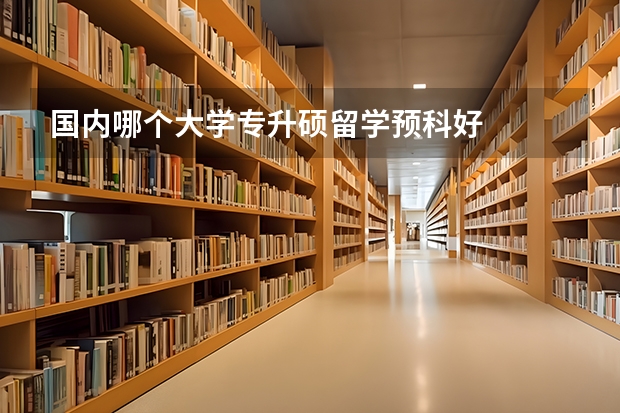 国内哪个大学专升硕留学预科好