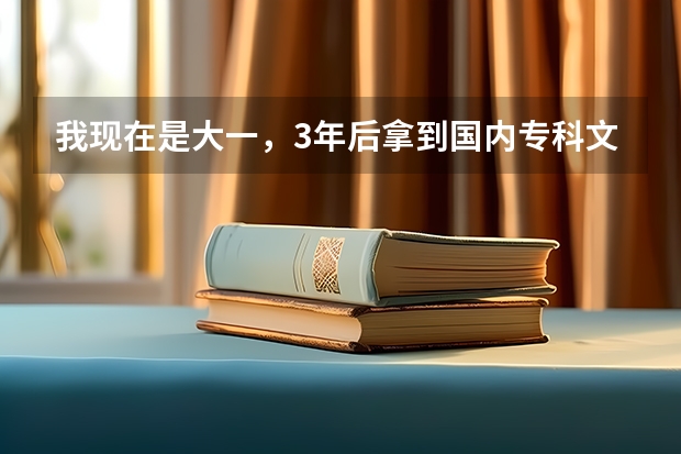 我现在是大一，3年后拿到国内专科文凭，再去荷兰留学一年可以吗？谢谢