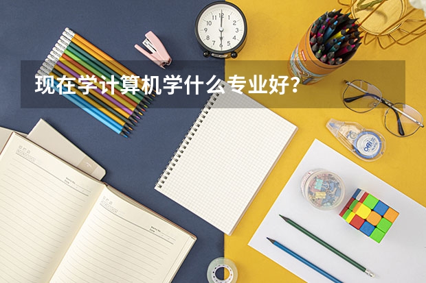 现在学计算机学什么专业好？