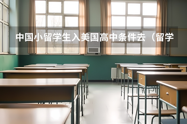 中国小留学生入美国高中条件去（留学生到美国读研费用）