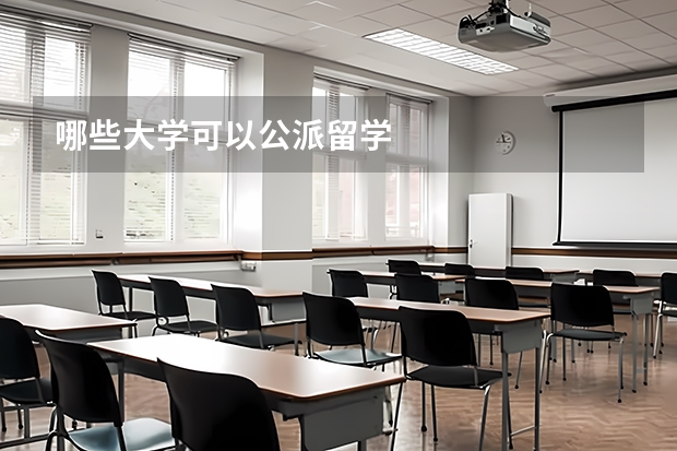 哪些大学可以公派留学