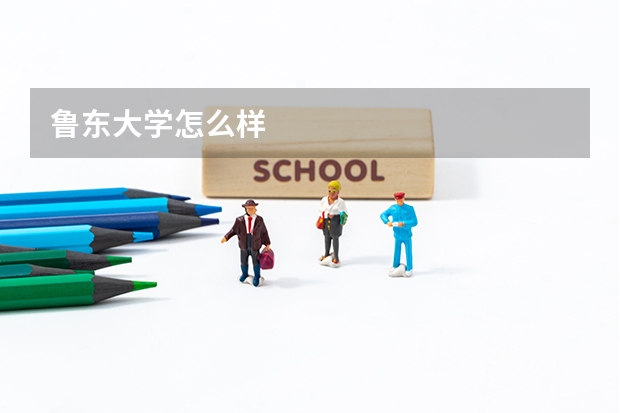 鲁东大学怎么样