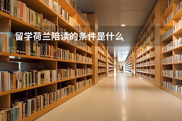 留学荷兰陪读的条件是什么