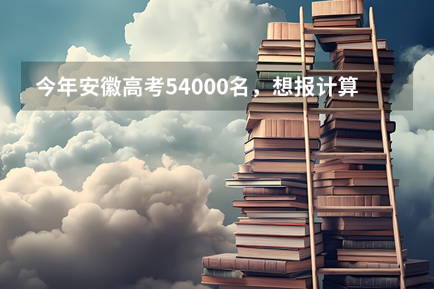 今年安徽高考54000名，想报计算机类的专业，安徽工程大学和安徽理工大学哪个建议。