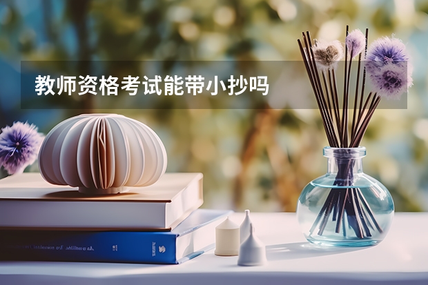 教师资格考试能带小抄吗