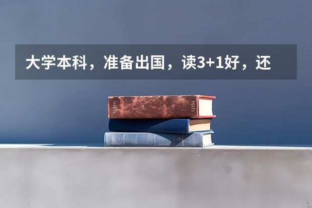 大学本科，准备出国，读3+1好，还是直接申请？（留学去瑞典、荷兰、还是新西兰？）