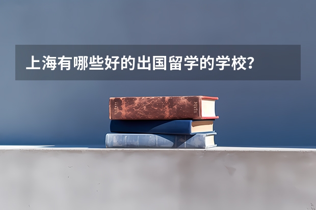 上海有哪些好的出国留学的学校？