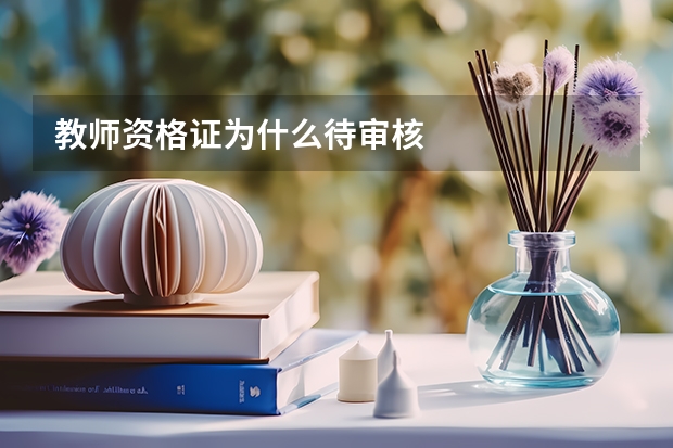 教师资格证为什么待审核