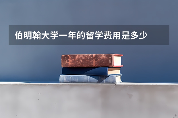 伯明翰大学一年的留学费用是多少